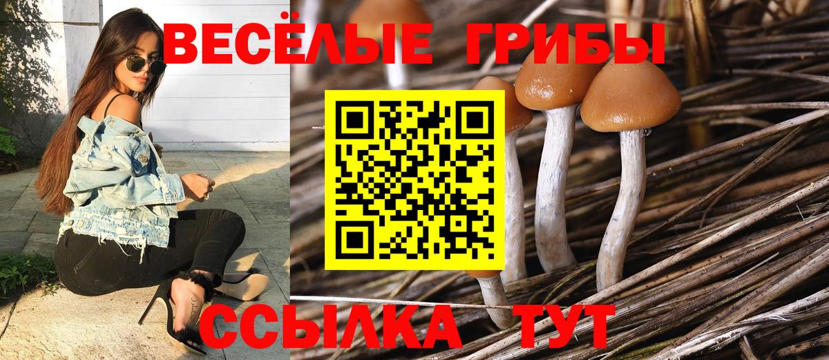 продажа наркотиков  Псилоцибиновые грибы Magic Shrooms  Псилоцибиновые грибы GOLDEN TEACHER  Вход с VPN  Калач-на-Дону 