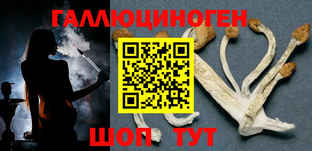Галлюциногенные грибы MAGIC MUSHROOMS Калач-на-Дону